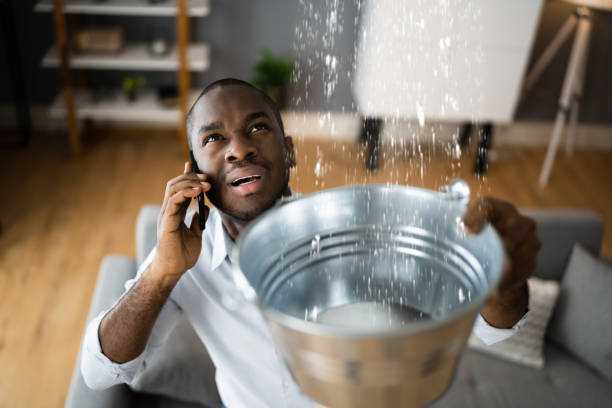 Best Mold removal after water damage  in Bay St Louis, MS