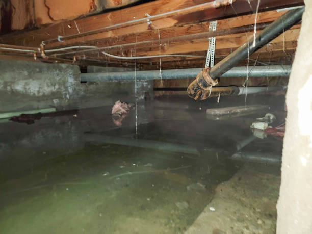 Water damage restoration experts in MS