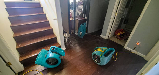 Best Residential water damage restoration  in Bay St Louis, MS