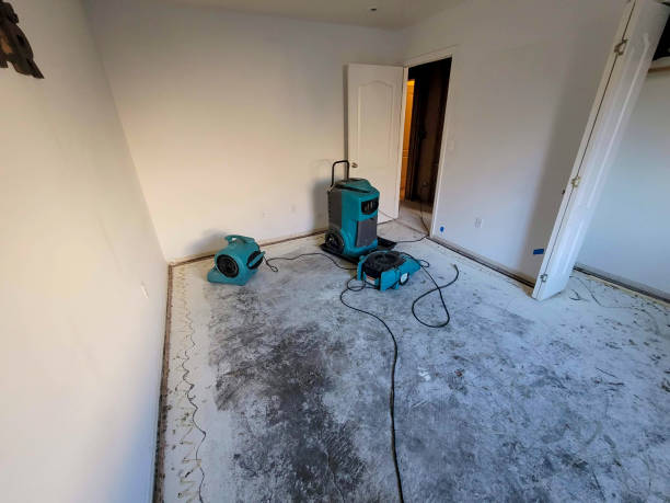 Best 24/7 water damage repair  in Bay St Louis, MS
