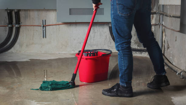 Best Water damage restoration experts  in Bay St Louis, MS