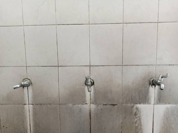 Best Mold removal after water damage  in Bay St Louis, MS