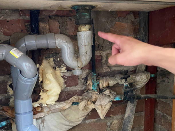 Best Water damage restoration mold remediation  in Bay St Louis, MS