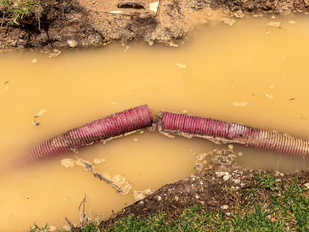 Best Sewage cleanup and water damage restoration  in Bay St Louis, MS