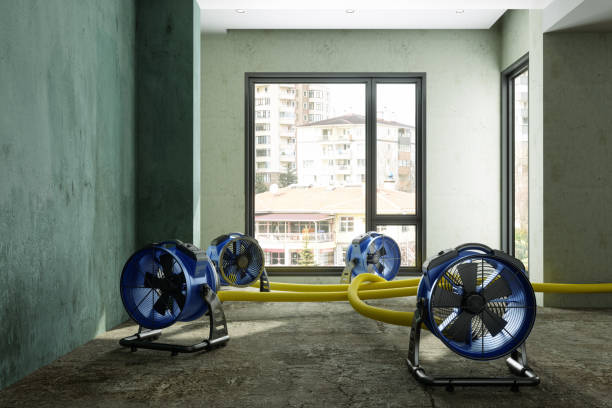 Best Water damage restoration near me  in Bay St Louis, MS