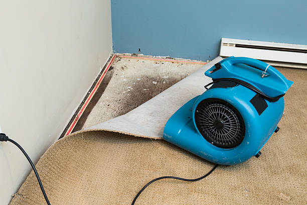 Best Fire Damage Restoration  in Bay St Louis, MS